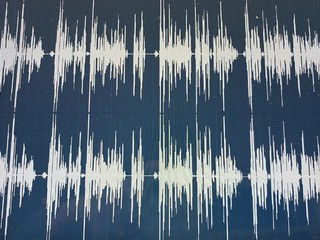 Catharina Arp – Gelesen auf RND: „Was unsere Stimme über uns verrät – und wie sich daraus Rückschlüsse auf Krankheiten ziehen lassen“