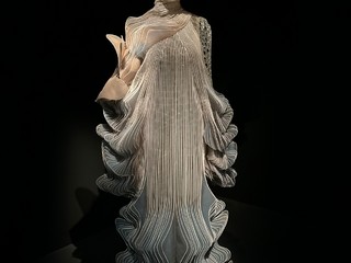 Catharina Arp – Die Ausstellung “IRIS VAN HERPEN“ im MAD Paris: Jedes Kleid ein Kunstwerk!